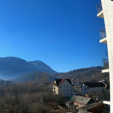 Panoramic Residence Zarnesti Exterior photo