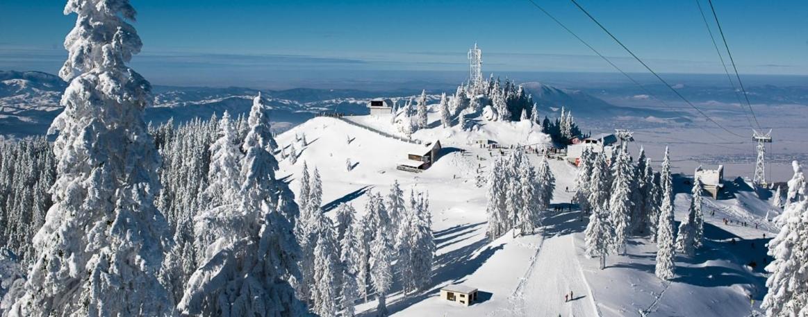 Panoramic Residence Zarnesti Exterior photo
