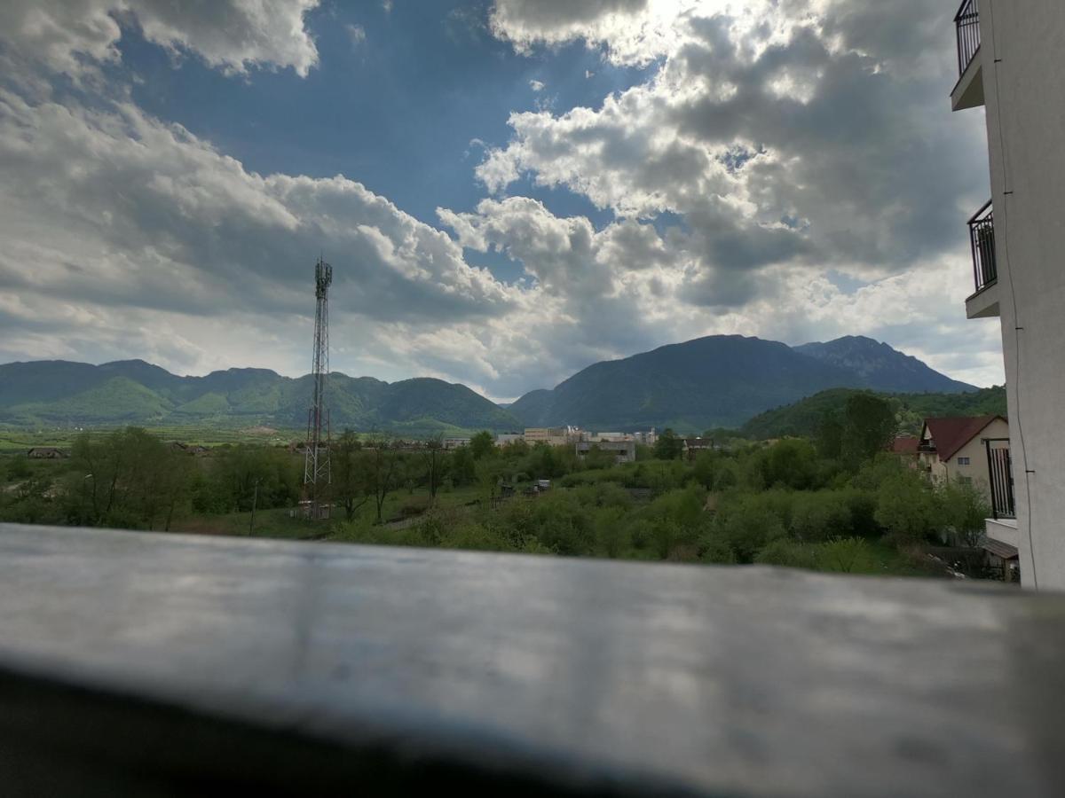 Panoramic Residence Zarnesti Exterior photo